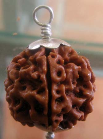 M03 MUKHI KALAGNI RUDRA Buy M03 MUKHI KALAGNI RUDRA Rudraksha Bead in Thane