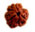 Rudraksha Remedy